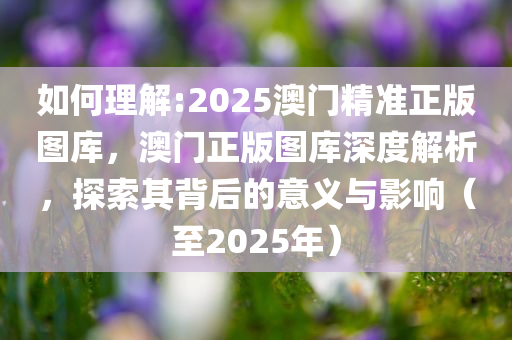 2025澳门精准正版图库,词语释义、解释和落实和警惕虚假宣传-全面释义、解释和落实